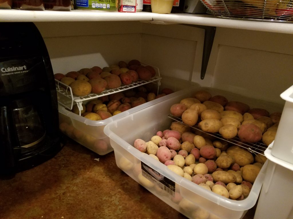 Storing Potatoes in the Pantry | Journey with Jill