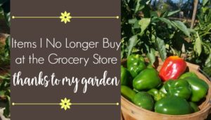 Items I No Longer Buy at the Grocery Store thanks to my Garden
