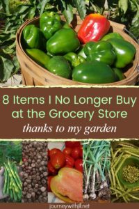 8 items I no longer have to buy at the store thanks to my garden
