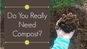 How essential is compost in your garden? And how do you get started?