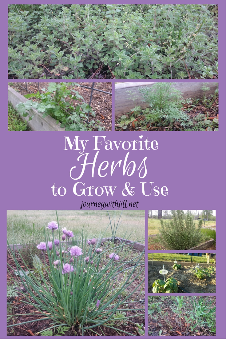 My Favorite Herbs to Grow and Use | Journey with Jill