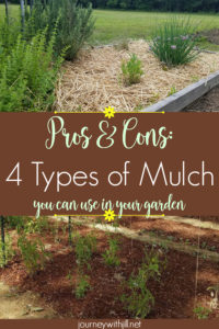 4 types of mulch you can use in your garden