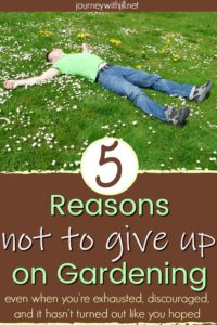 5 reasons not to give up on gardening