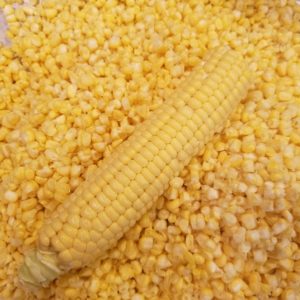 Common Problems Growing Sweet Corn in the Home Garden