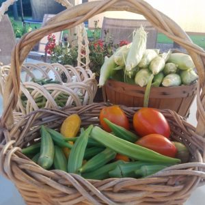 Continuous Harvest vs. Quick Maturing Vegetables