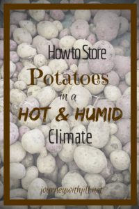 How to Store Potatoes in a Hot and Humid Climate | Journey with Jill