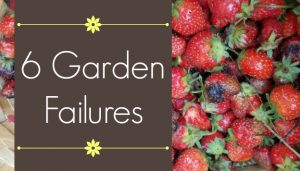 6 garden failures