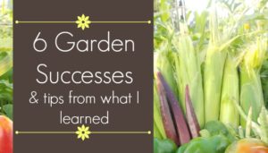 garden successes and tips