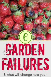 6 Garden Failures and What Will Change Next Year