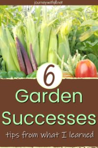 6 Garden Successes and Tips