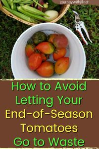 How to Avoid Letting Your End of Season Tomatoes Go to Waste