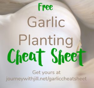 FREE Garlic Planting Cheat Sheet