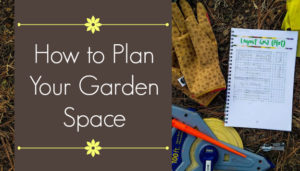 How to plan your garden space