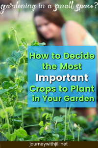 How to Decide the Most Important Crops to Plant in Your Garden