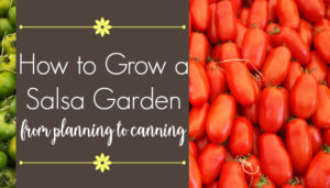 How to Grow a Salsa Garden