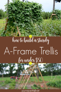 How to build an A-frame trellis