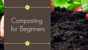 Composting for Beginners