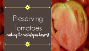 preserving tomatoes - make the most of your harvest