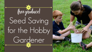 Free Produce! Seed Saving for the Hobby Gardener