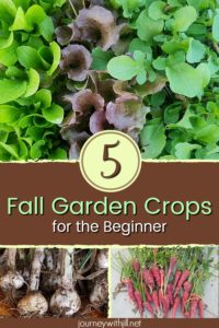 5 Fall Garden Crops for the Beginner