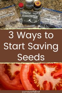 3 Ways to Start Saving Seeds