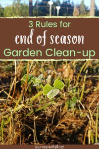 3 Rules for End of Season Garden Clean-up