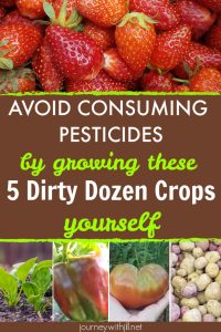 Avoid Consuming Pesticides by Growing These Dirty Dozen Crops Yourself
