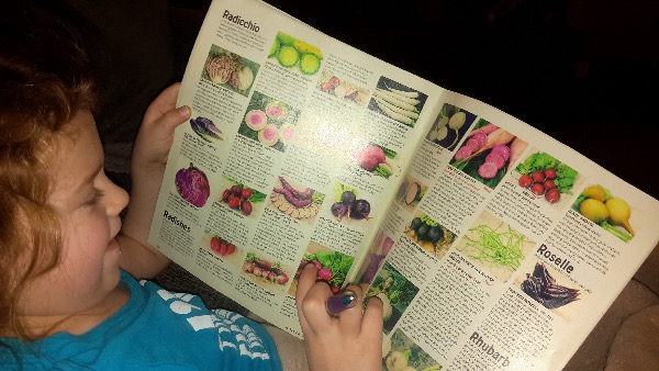 catalog for seed starting