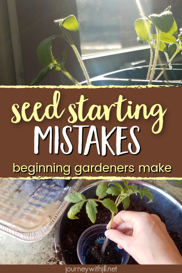 Seed Starting Mistakes Beginning Gardeners Make