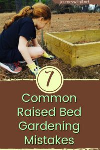 7 Common Raised Bed Gardening Mistakes