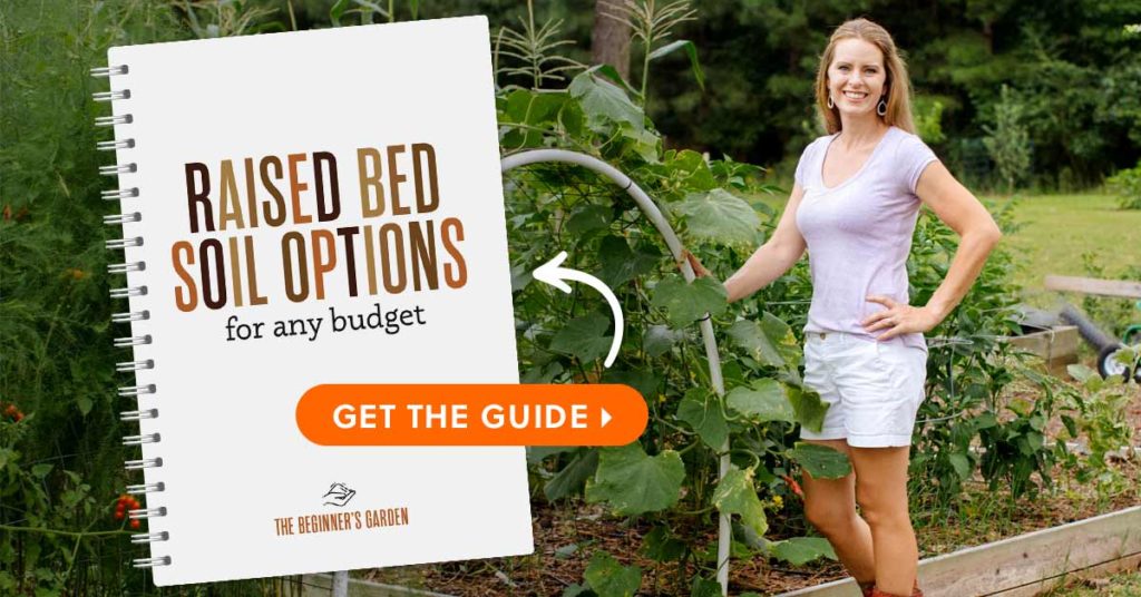 raised bed soil options guide