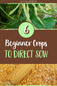 direct sow crops