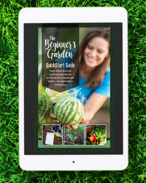 Beginner's Garden Shortcut QuickStart eBook