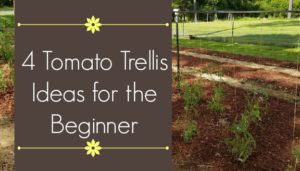 4 tomato trelllis ideas