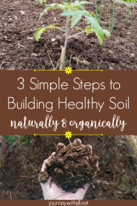 3 Simple Steps to Building Healthy Soil Naturally and Organically