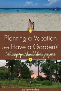 5 Ways to Prepare Your Garden Before You Go on Vacation