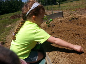 child planting seeds in the garden