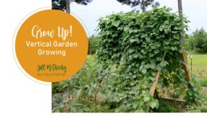 Grow up - Vertical Gardening
