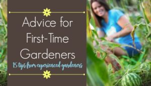 Advice for First-Time Gardeners 15 tips from experienced gardeners
