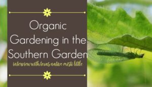 organic gardening in a southern garden -- interview with Misti Little