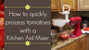 How to Quickly Process Tomatoes with a Kitchen Aid Mixer