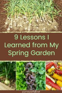 9 Lessons Learned from the Spring Garden