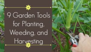 Garden Tools for Planting, Weeding, and Harvesting