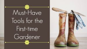 Tools for the beginning gardener