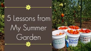 Lessons learned from my summer garden