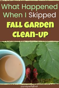 What Happened When I Skipped Fall Garden Clean-Up