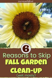 Reasons to Skip Fall Garden Clean-Up