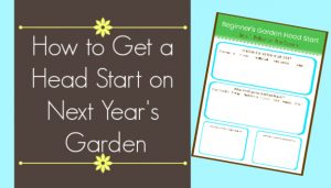 How to Get a Head Start on Next Year's Garden