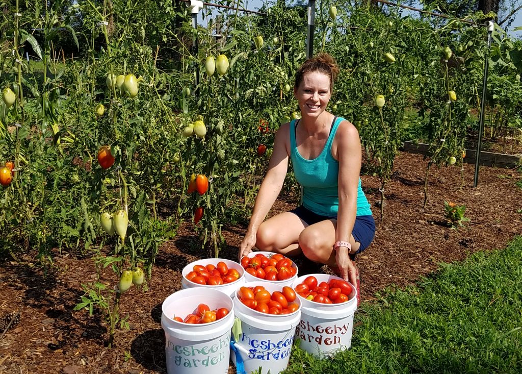 master common tomato plant problems for an abundant harvest