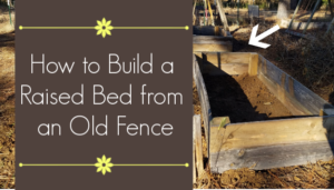 How to Build Raised Bed